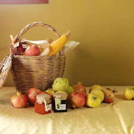 Charming House In With Shared Pool *