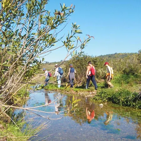 Charming House In With Shared Pool