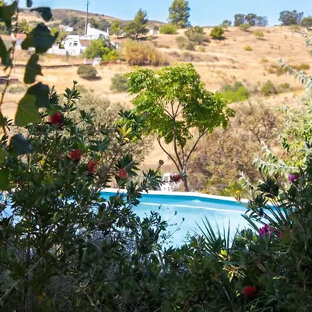 Charming House In With Shared Pool