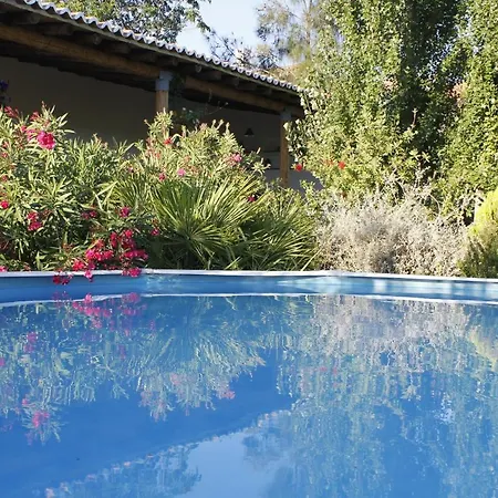 Charming House In With Shared Pool Semesterbostad *