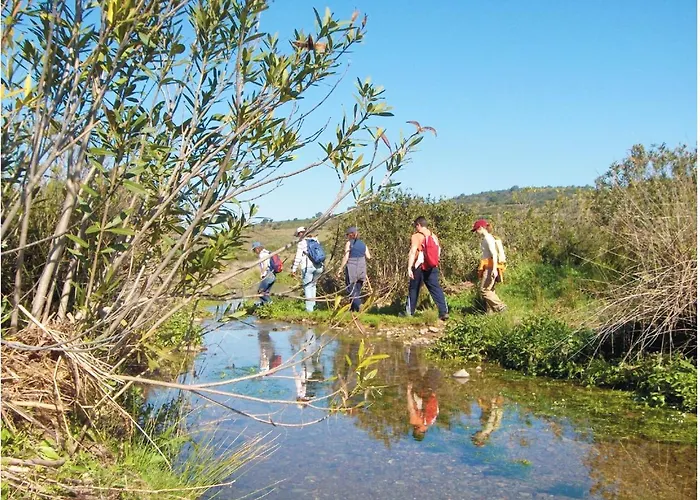 Charming House In With Shared Pool